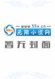 幻城后传